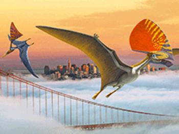 Pterosaur Psyndrome!