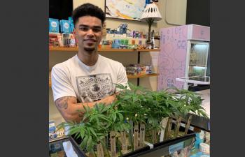Bay Area Cannasseur: Cannabis plants now available in San Francisco