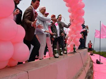Toasting SF's pink triangle