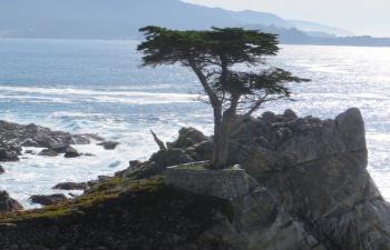 Carmel delights visitors with art, dining, wine, and hikes