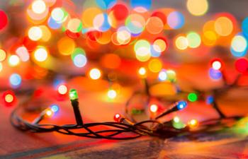 Transmissions: Of lights, family, and the holidays